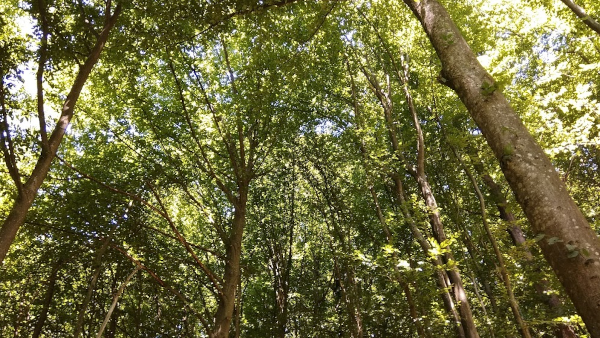 The Heros Journey for Personal Growth