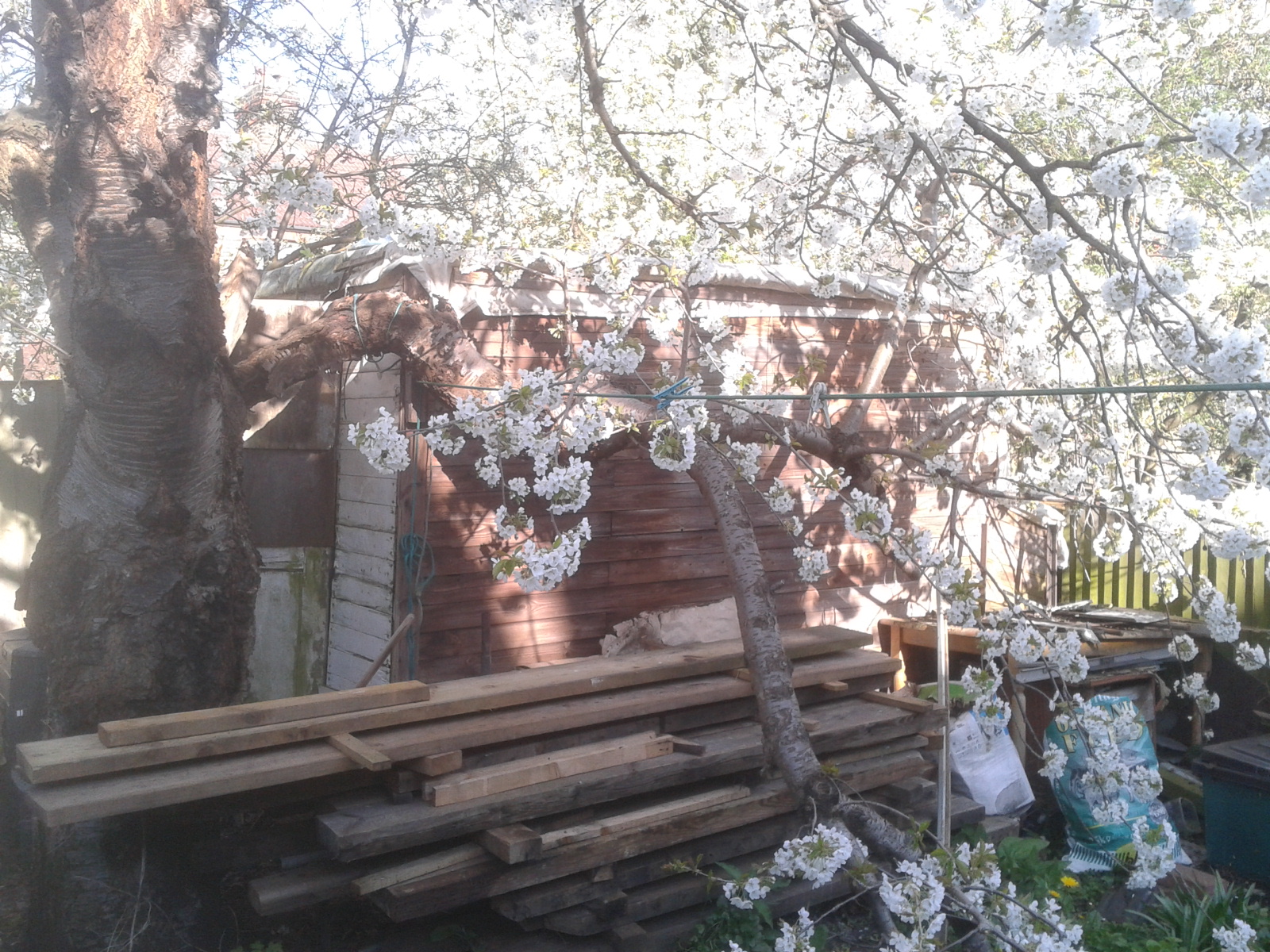 Old shed photo